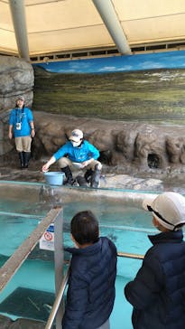 しながわ水族館に投稿された画像（2020/12/27）