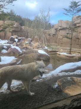 那須どうぶつ王国に投稿された画像（2020/12/27）