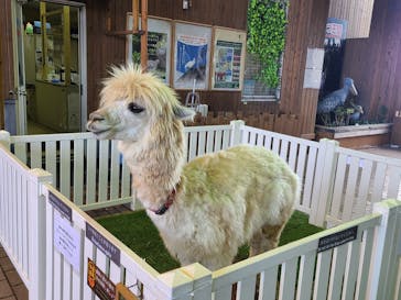 那須どうぶつ王国に投稿された画像（2020/12/27）