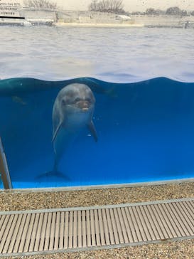 京都水族館に投稿された画像（2020/12/27）