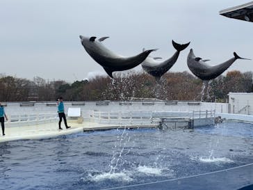 京都水族館に投稿された画像（2020/12/27）