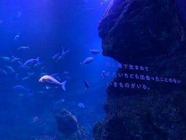 京都水族館に投稿された画像（2020/12/27）