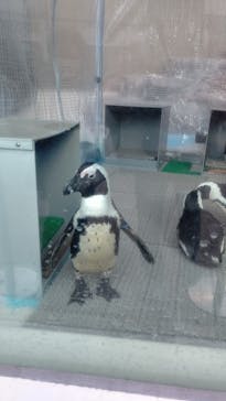 サンシャイン水族館に投稿された画像（2020/12/27）