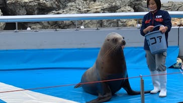大分マリーンパレス水族館 「うみたまご」に投稿された画像（2020/12/27）