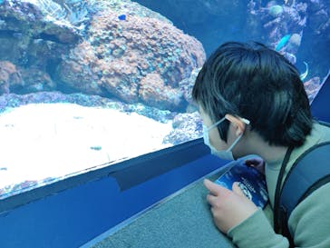 サンシャイン水族館に投稿された画像（2020/12/27）