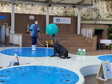 サンシャイン水族館に投稿された画像（2020/12/27）