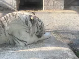 東武動物公園に投稿された画像（2020/12/27）