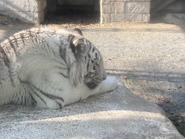 東武動物公園に投稿された画像（2020/12/27）