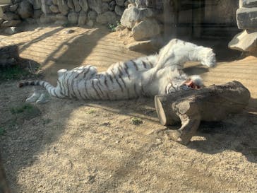 東武動物公園に投稿された画像（2020/12/27）