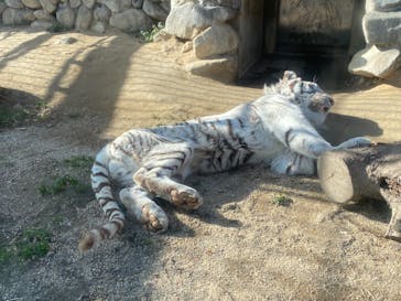 東武動物公園に投稿された画像（2020/12/27）