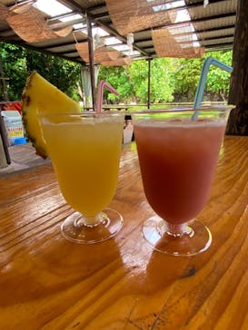 おきなわワールドに投稿された画像（2020/12/27）