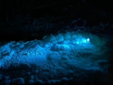 おきなわワールドに投稿された画像（2020/12/27）