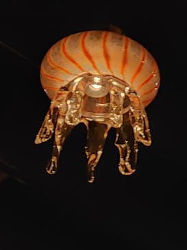 京都水族館に投稿された画像（2020/12/27）