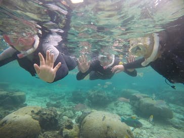 武藤潜水に投稿された画像（2020/12/27）