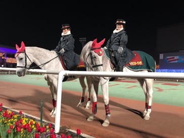 東京メガイルミに投稿された画像（2020/12/27）