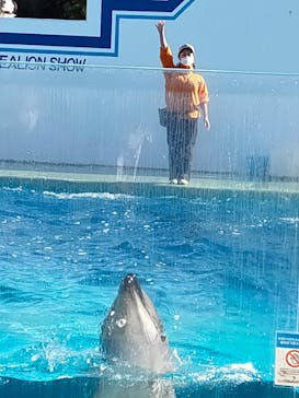 しながわ水族館に投稿された画像（2020/12/27）