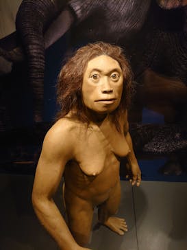 国立科学博物館に投稿された画像（2020/12/27）