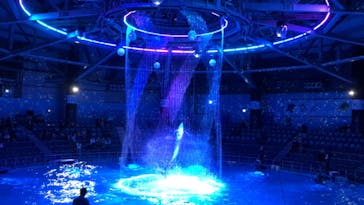 マクセル アクアパーク品川に投稿された画像（2020/12/27）