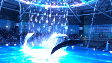 マクセル アクアパーク品川に投稿された画像（2020/12/27）