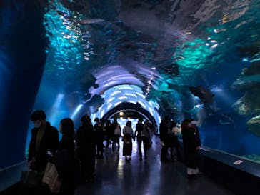 マクセル アクアパーク品川に投稿された画像（2020/12/27）