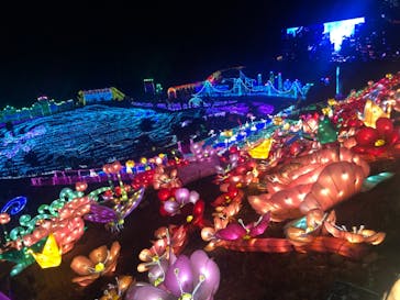 伊豆ぐらんぱる公園に投稿された画像（2020/12/27）