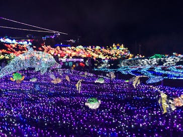 伊豆ぐらんぱる公園に投稿された画像（2020/12/27）