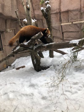 那須どうぶつ王国に投稿された画像（2020/12/27）