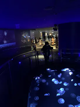 すみだ水族館に投稿された画像（2020/12/27）