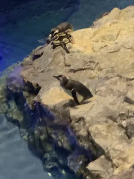 すみだ水族館に投稿された画像（2020/12/27）