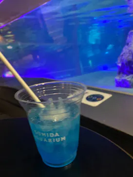 すみだ水族館に投稿された画像（2020/12/27）