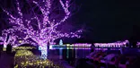 東武動物公園に投稿された画像（2020/12/27）
