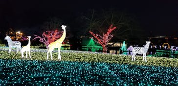 東武動物公園に投稿された画像（2020/12/27）