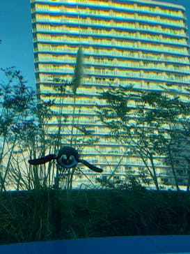 サンシャイン水族館に投稿された画像（2020/12/27）