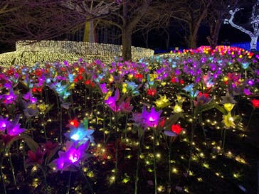 さがみ湖MORI MORIに投稿された画像（2020/12/27）