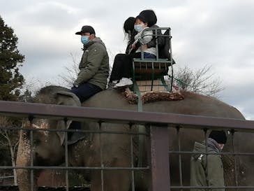 那須サファリパークに投稿された画像（2020/12/27）