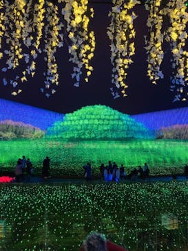 なばなの里に投稿された画像（2020/12/27）