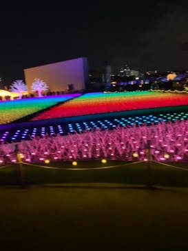 東京メガイルミに投稿された画像（2020/12/27）