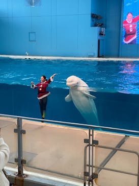 横浜・八景島シーパラダイスに投稿された画像（2020/12/24）