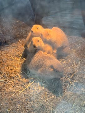 横浜・八景島シーパラダイスに投稿された画像（2020/12/24）