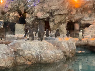 東武動物公園に投稿された画像（2020/12/27）