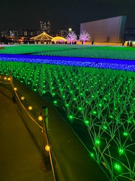 東京メガイルミに投稿された画像（2020/12/27）