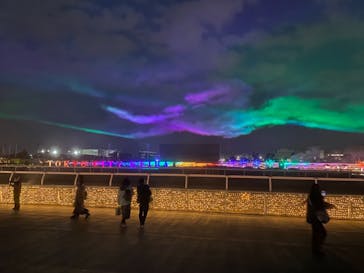 東京メガイルミに投稿された画像（2020/12/27）