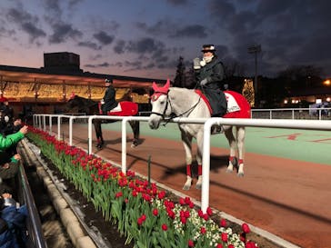 東京メガイルミに投稿された画像（2020/12/27）