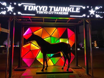 東京メガイルミに投稿された画像（2020/12/27）