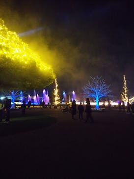 東京メガイルミに投稿された画像（2020/12/27）