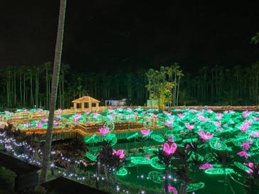 美らヤシパークオキナワ・東南植物楽園に投稿された画像（2020/12/27）