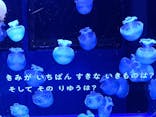 すみだ水族館に投稿された画像（2020/12/27）
