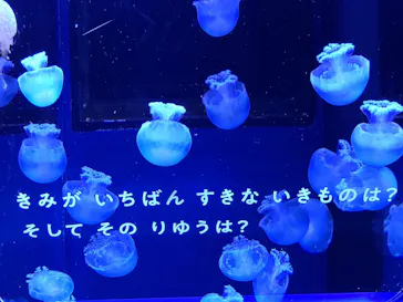 すみだ水族館に投稿された画像（2020/12/27）