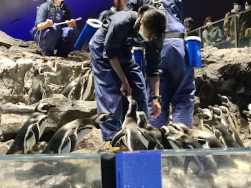 すみだ水族館に投稿された画像（2020/12/27）