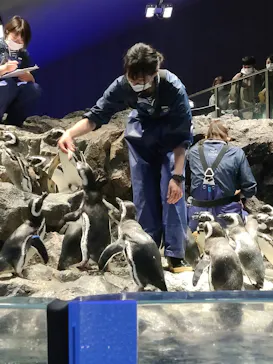 すみだ水族館に投稿された画像（2020/12/27）